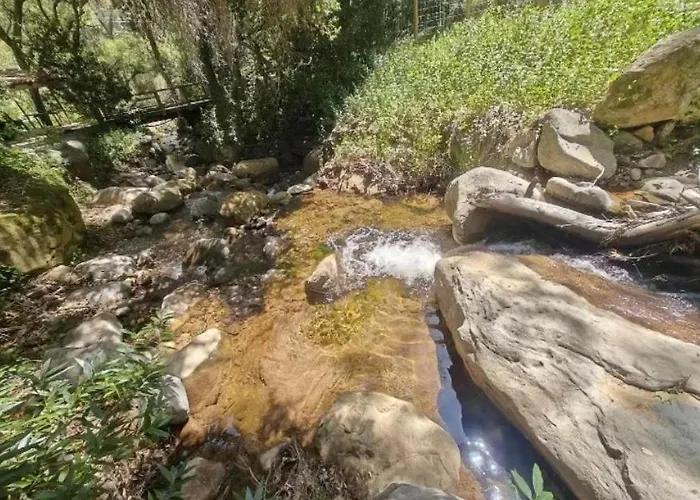 Quaint Cabin With Private Trails & Creek